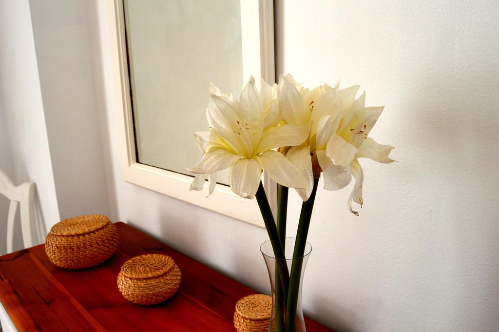 Apartamento El Baluarte カディス エクステリア 写真